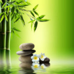 Wellbeing