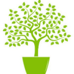 Tree in a pot