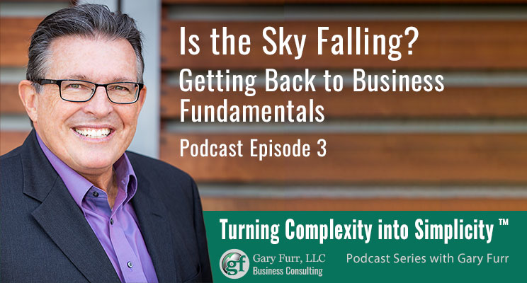 Is the Sky Falling? Getting Back to Business Fundamentals