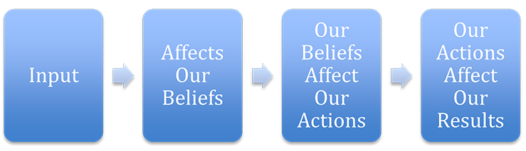 Input Beliefs Actions
