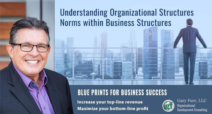Understanding Organizational Structures Norms Within Business Structures